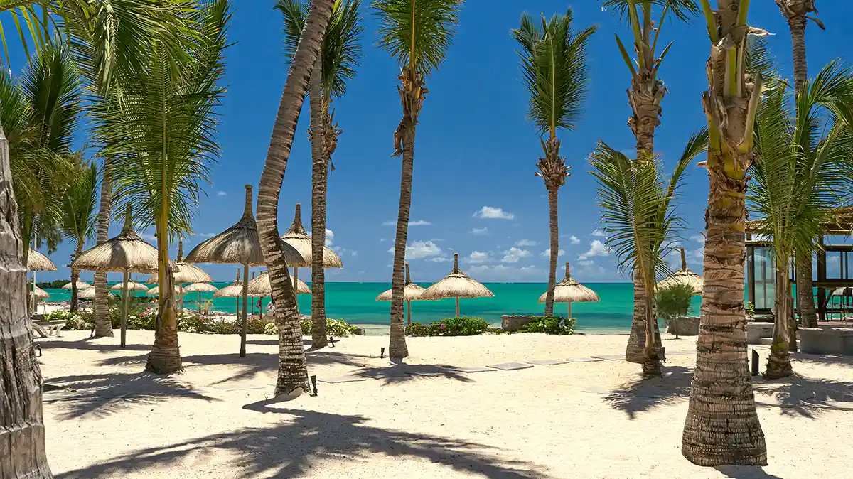 Mauritius Gallery