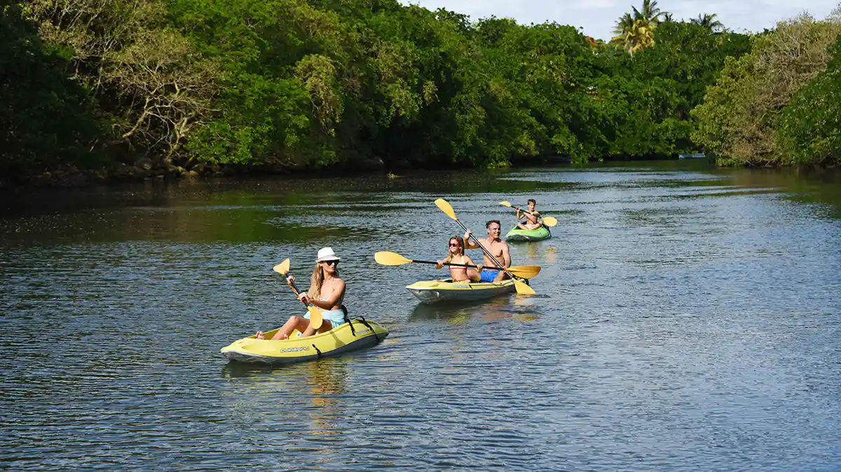 Mauritius Gallery