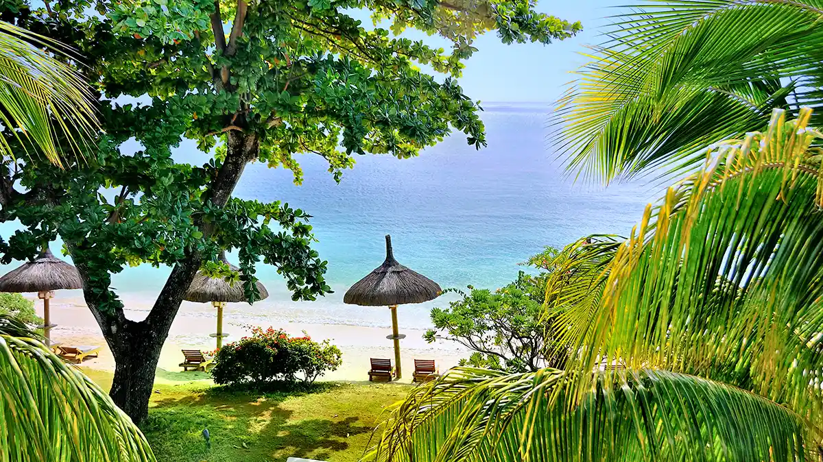 Mauritius Gallery